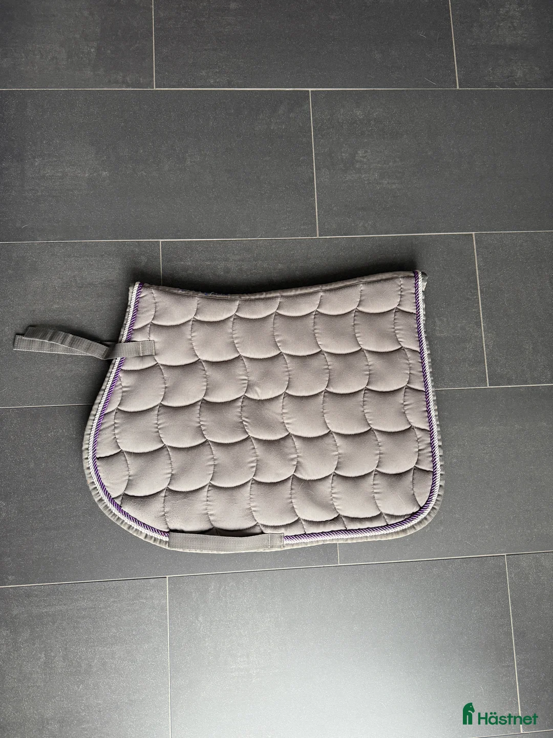 Schabrak & Vojlockar hästutrustning till salu: Hoppschabrak i Trelleborg - Annons 1