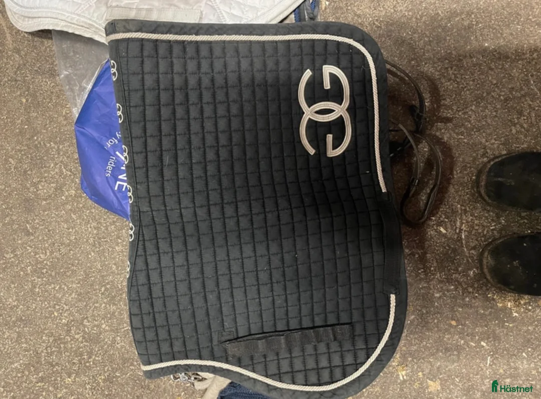 Schabrak & Vojlockar hästutrustning till salu: Schabrak, huva, lindor, tävlingstopp!  i Kalmar - Annons 6