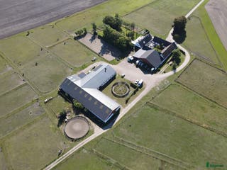 stallplats Ledig stallplats på välskött stall som har allt - Annons 5