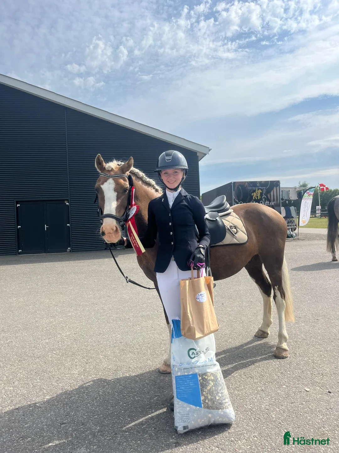 Hoppning hästar till salu: Stjernepony  - Annons 5