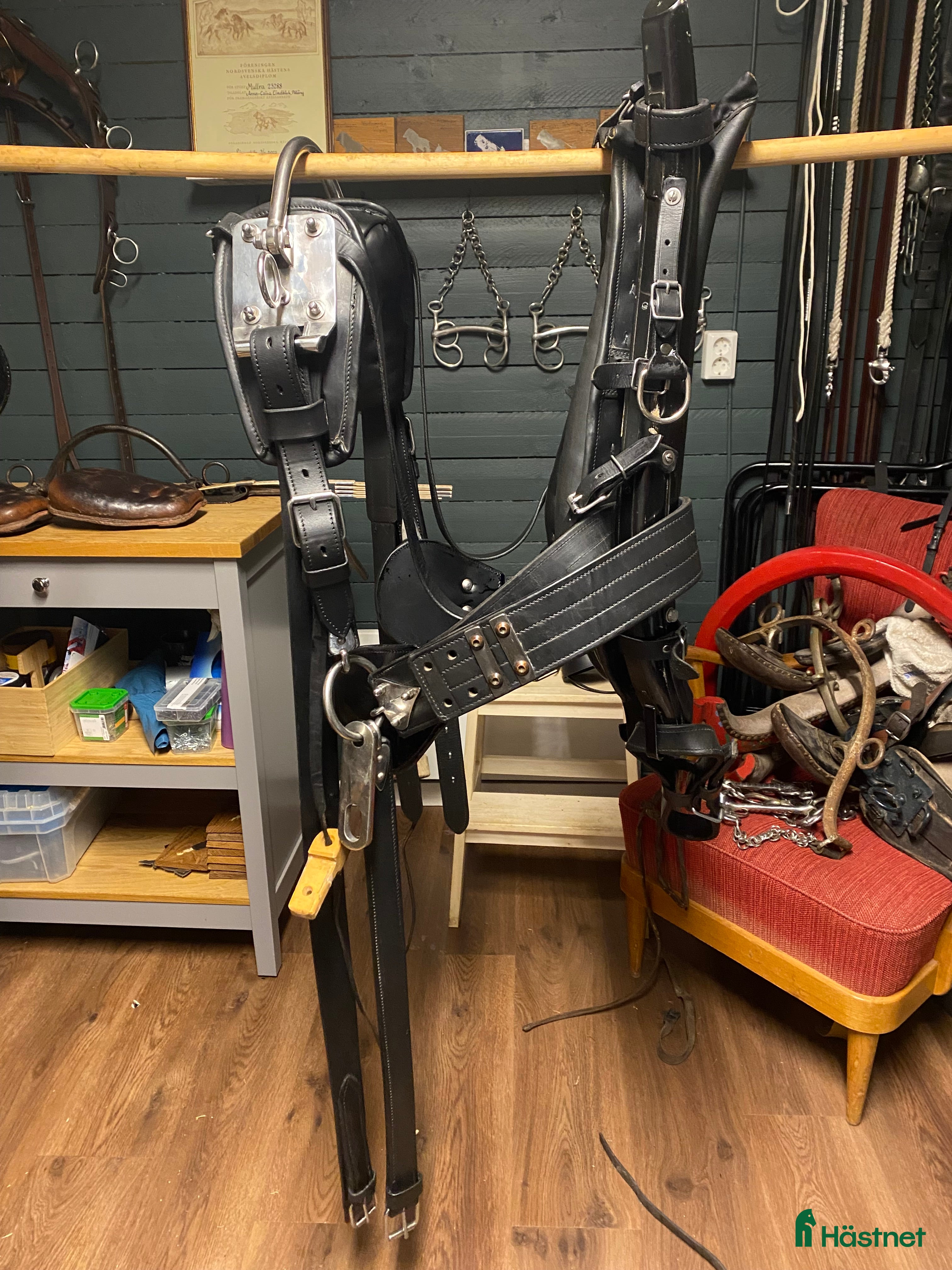 Körselar körning till salu: Tärnsjösele - Annons 13