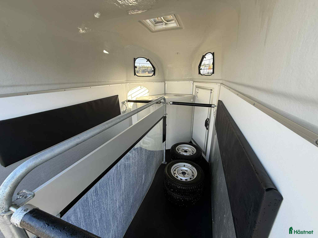 Hästtransporter  fordon & transport till salu: Cheval Liberté Gold nyskick 2022 avdragsgill moms! i Köping - Annons 8