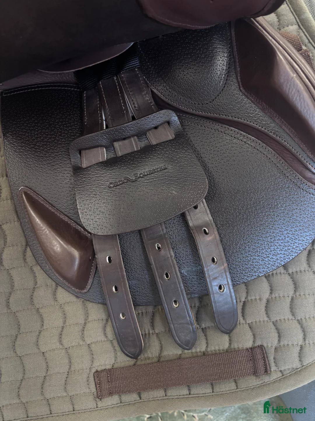 Sadlar hästutrustning till salu: Ordo Roma ✨ - Annons 4