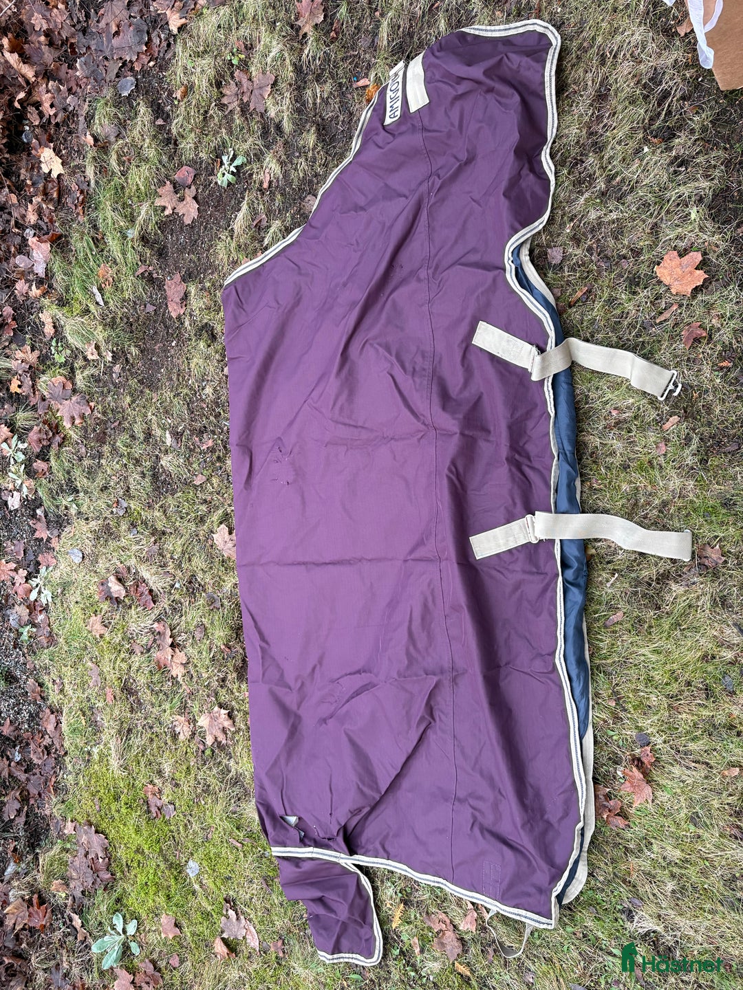 Täcken hästutrustning till salu: Amigo fodrat utetäcke i Huddinge - Annons 1