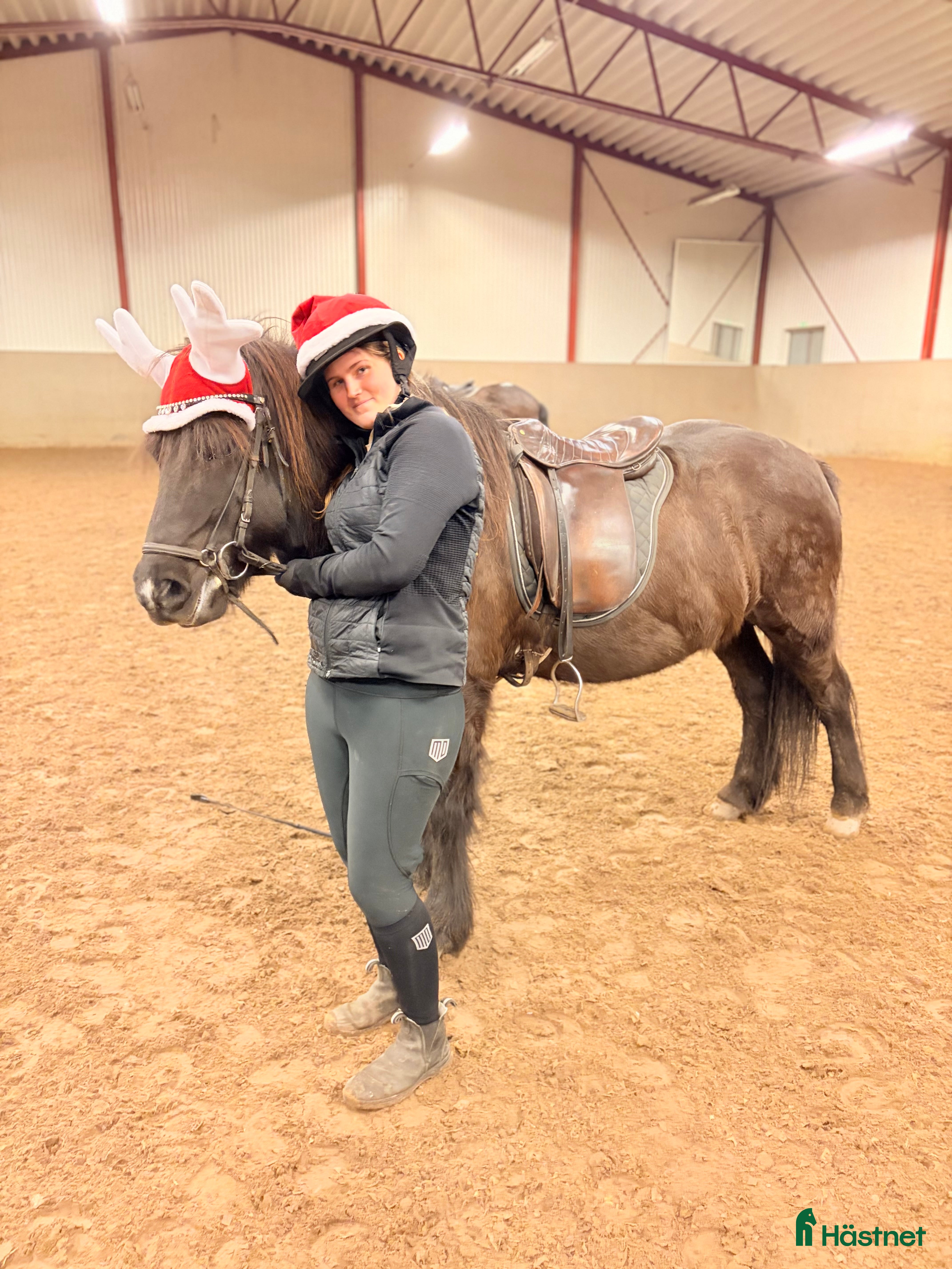  medryttarhäst sökes: Medryttarhäst sökes!  i Tyresö - Annons 13