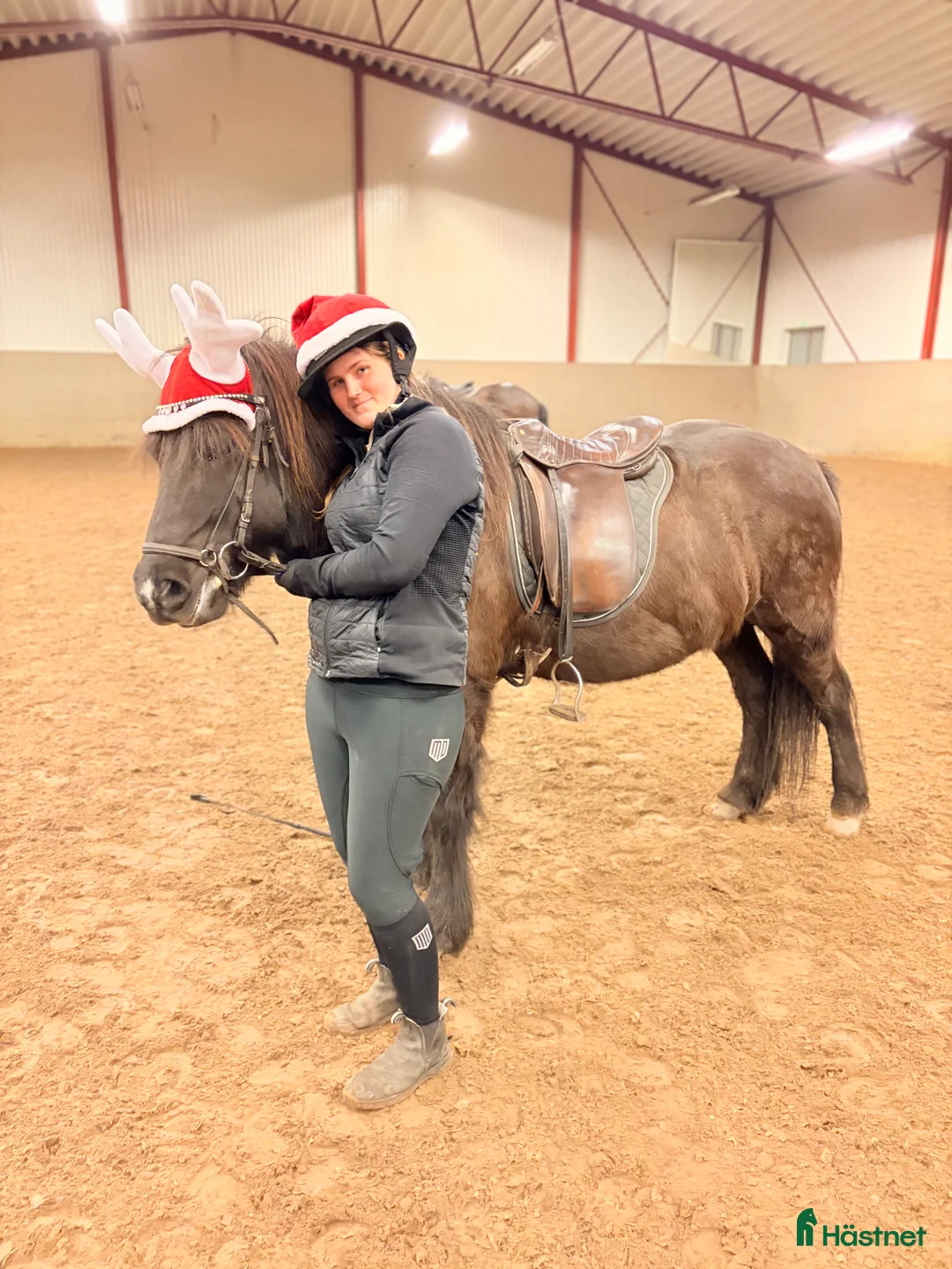  medryttarhäst sökes: Medryttarhäst sökes!  i Tyresö - Annons 1