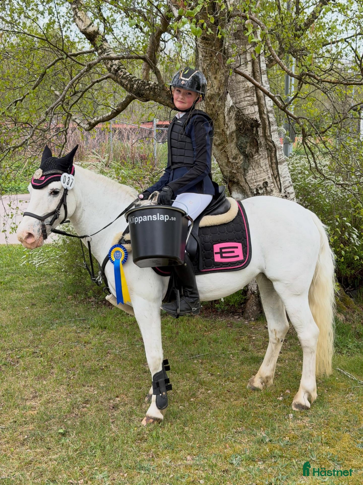  hästar Perfekt första ponny - Annons 1