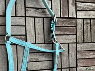 Övrig Hästutrustning hästutrustning Horseware fieldsafe grimma, cob - Annons 5