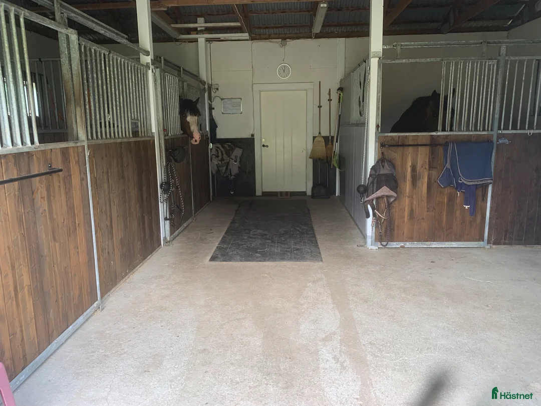  stallplats finnes: 1 Boxplats uthyres i Söderbärke - Annons 2