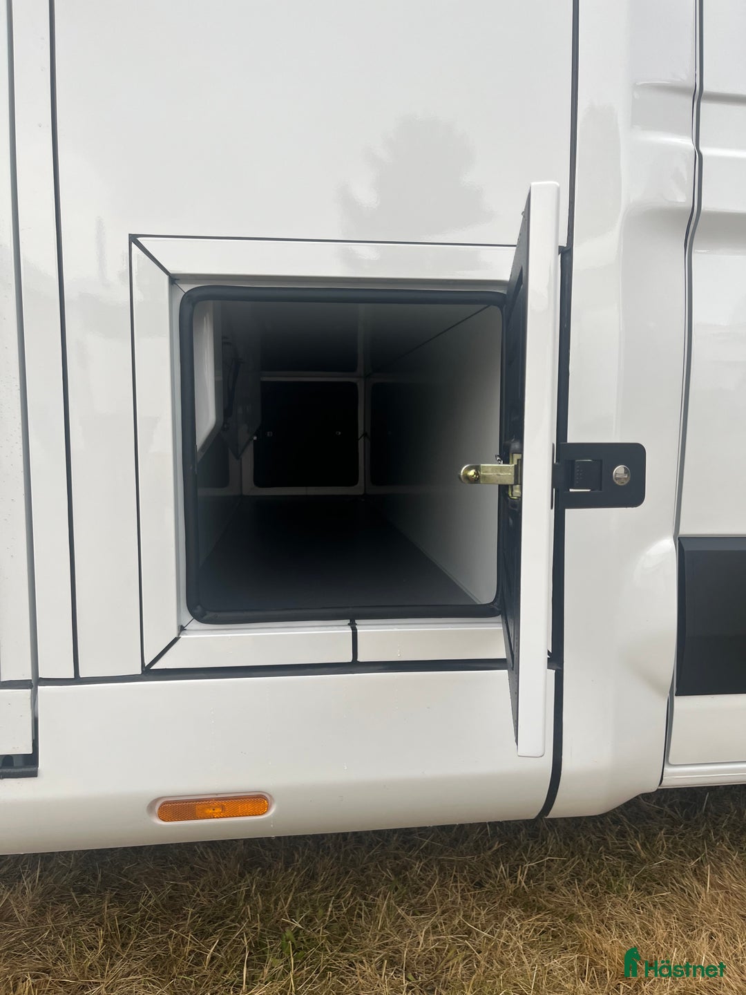 Hästlastbilar  fordon & transport till salu: Forzab EQV3 Vi bjuder på skatten i 36 mån i Klippan - Annons 6