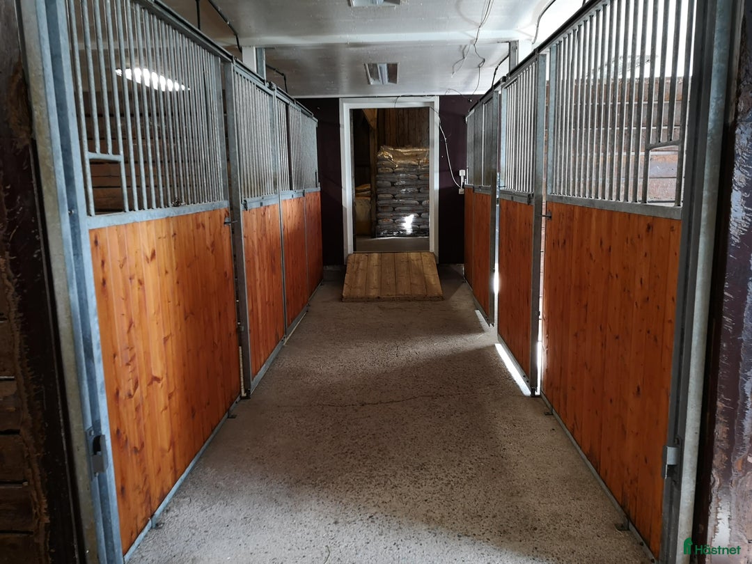  stallplats finnes: Stall platser lediga  i Nykvarn - Annons 2