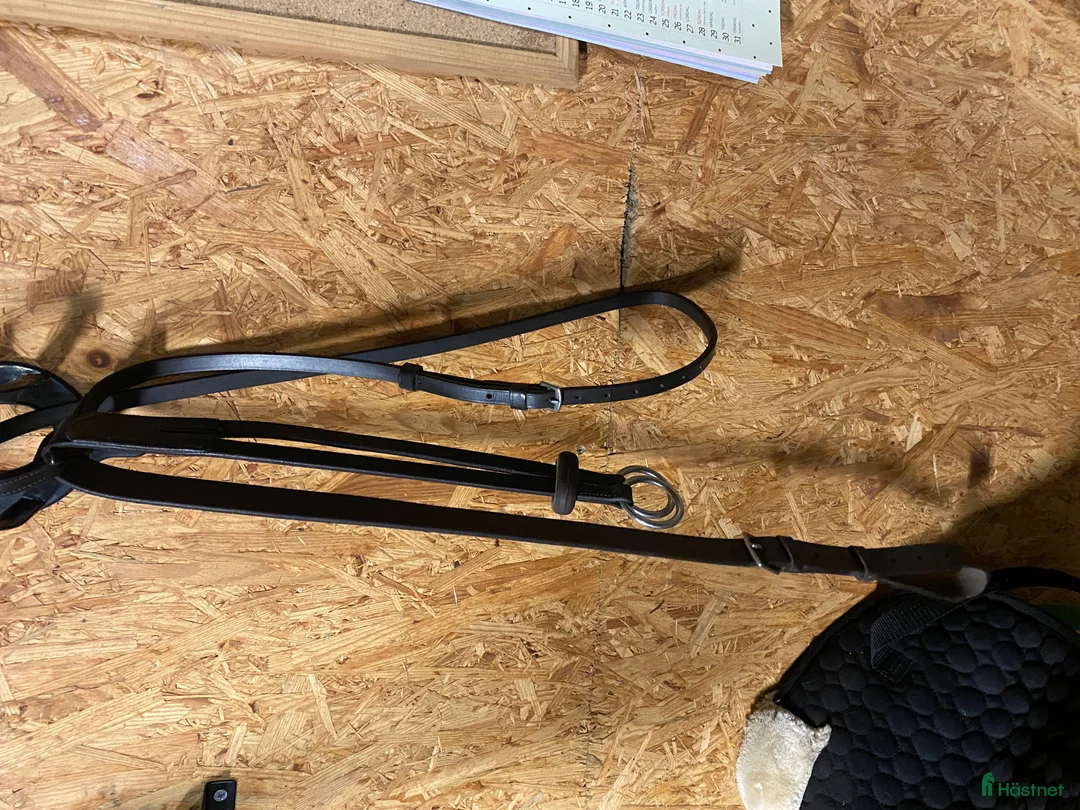 Övrig Hästutrustning hästutrustning till salu: Häst och stall utrustning  - Annons 14