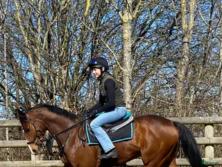 hästar Happy - Annons 3