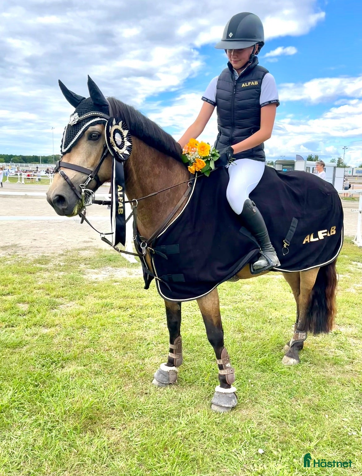  hästar C-ponny med extra allt 🤩 - Annons 2