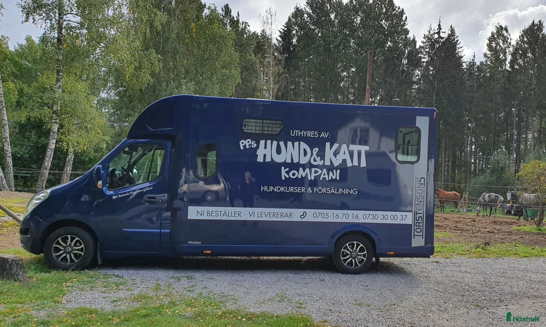 Hästlastbilar  fordon & transport till salu: Reanult Theault Hästlastbil i Kimstad - Annons 2