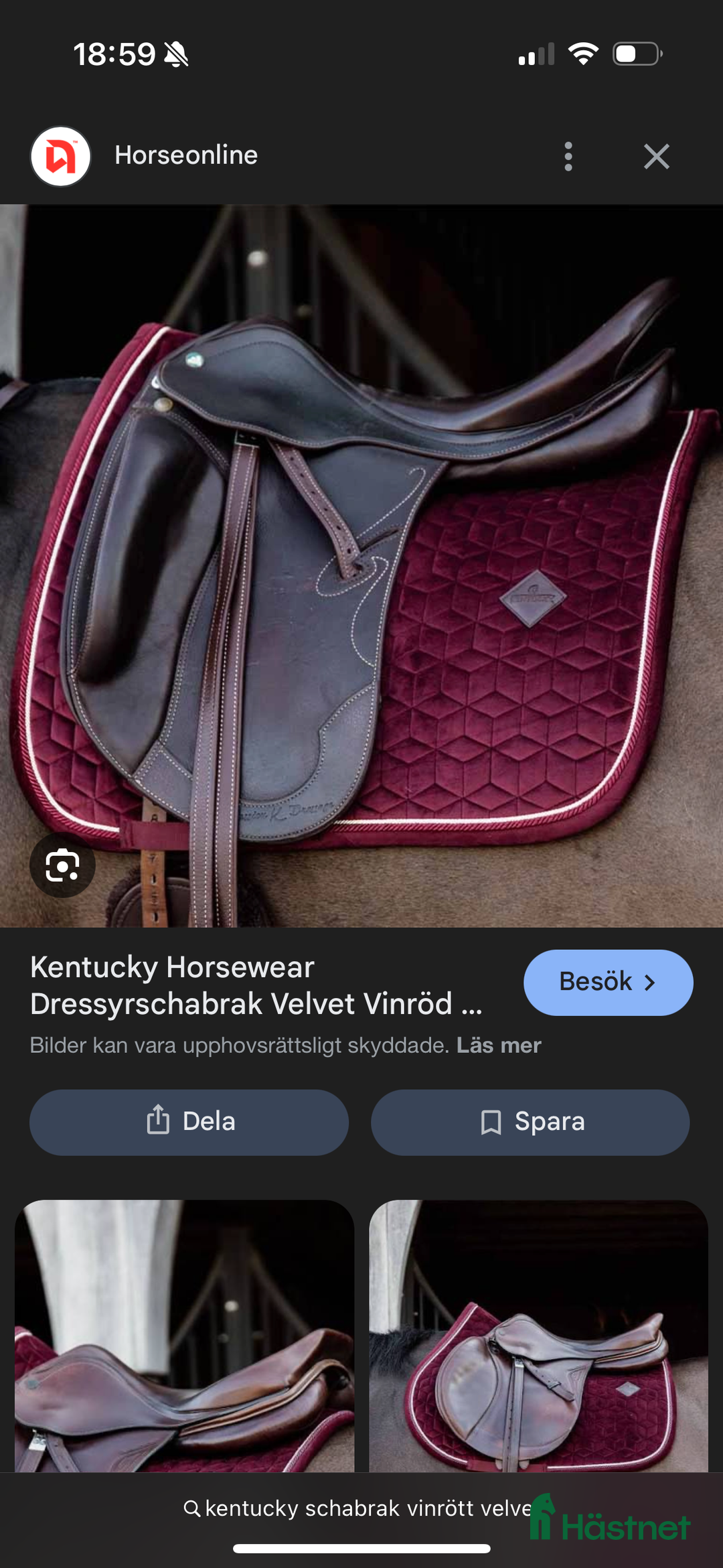 Schabrak & Vojlockar hästutrustning till salu: Kentucky Schabrak Velvet i Särö - Annons 1