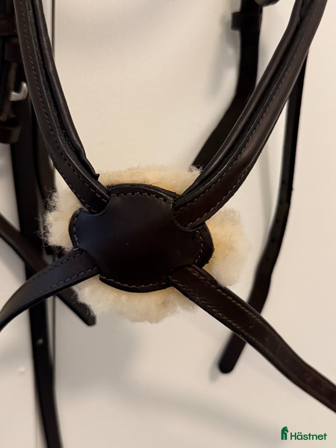 Träns hästutrustning till salu: Pullarträns i nyskick i Örebro - Annons 2