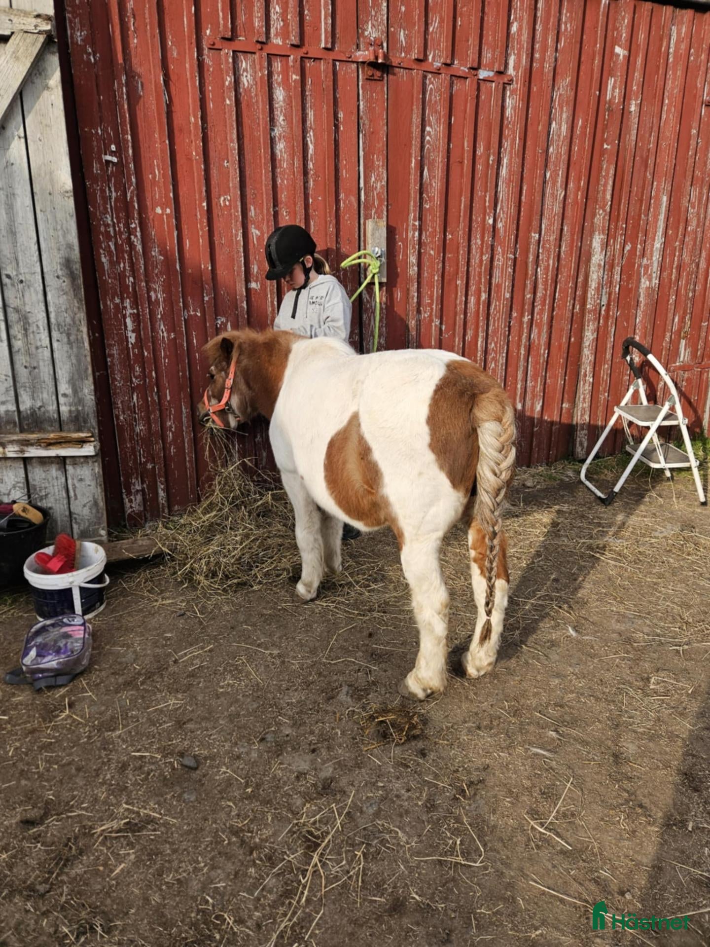  medryttarhäst finnes: Ponnyridning & ponnypyssel - Annons 2