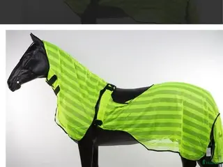 Täcken hästutrustning till salu: Ridflugtäcke storlek pony i Klippan - Annons 1