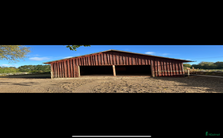  stallplats Lösdriftsplatser finnes  i Linneryd - Annons 6