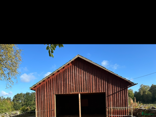 stallplats finnes: Lösdriftsplatser finnes i Linneryd - Annons 1