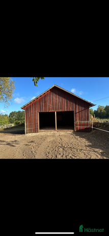 stallplats Lösdriftsplatser finnes i Linneryd - Annons 6