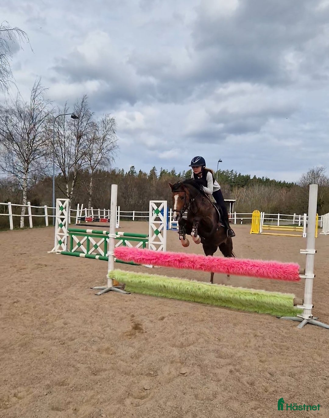  hästar Fantastisk ponny letar efter sin ryttare i Ödeshög - Annons 8