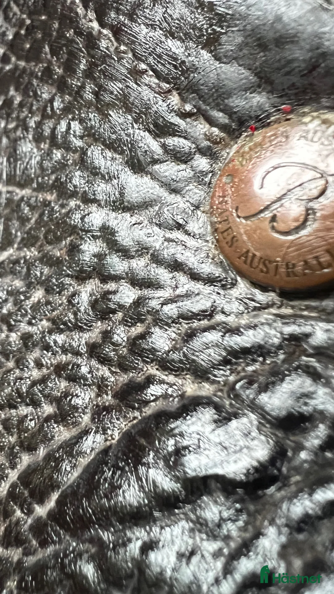 Sadlar hästutrustning till salu: Dressyrsadel Bates ”Isabell Werth”  - Annons 4