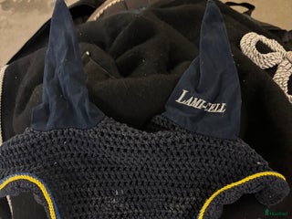 Övrig Hästutrustning hästutrustning till salu: Sverige huva i Stockholm - Annons 4