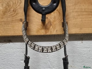 Träns hästutrustning till salu: Ps of Sweden träns i Färentuna - Annons 4