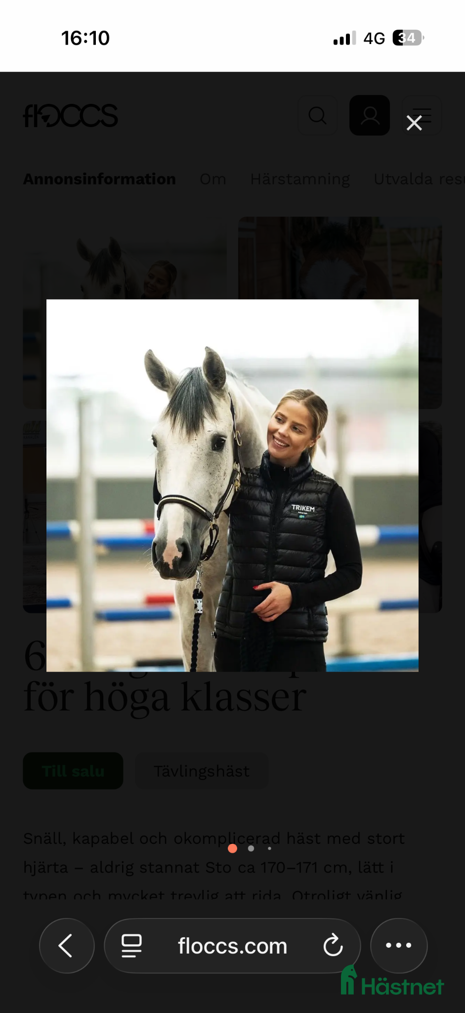  hästar Hopphäst 6 år för höga klasser - Annons 1