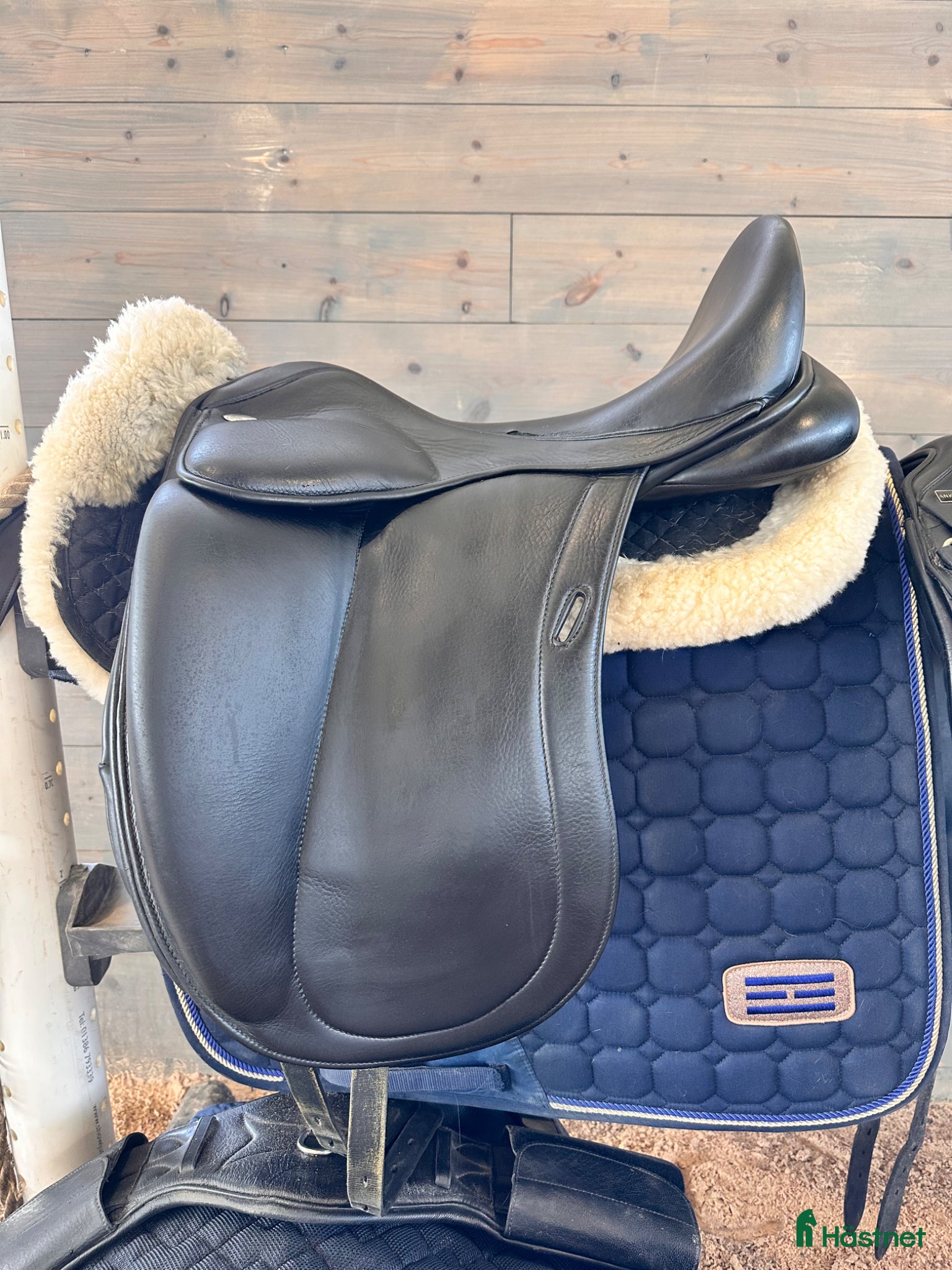 Sadlar hästutrustning Santa Cruz Leopold Platinium 17” - Annons 2