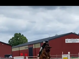 medryttarhäst finnes: Medryttare sökes - Annons 19