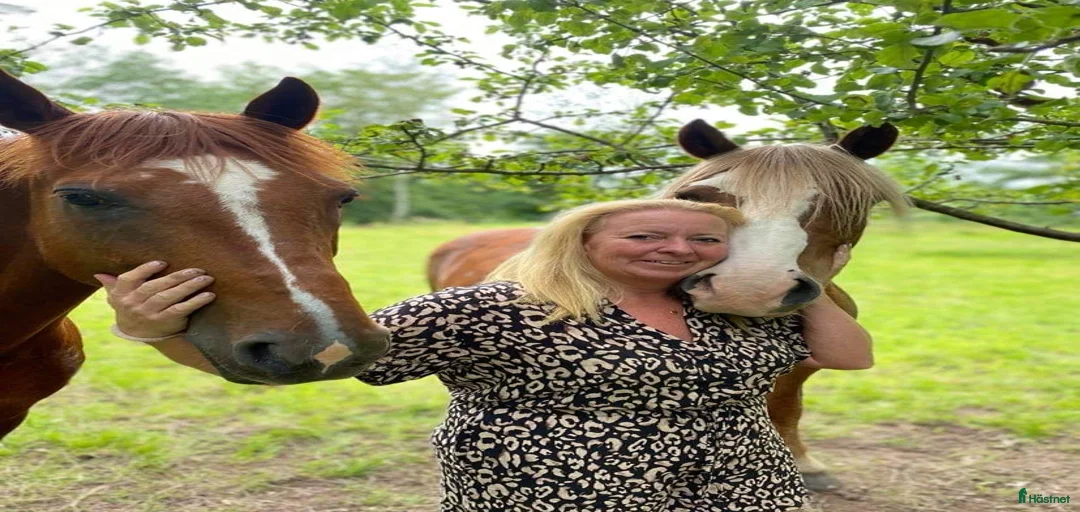 Galleribild {{count}}