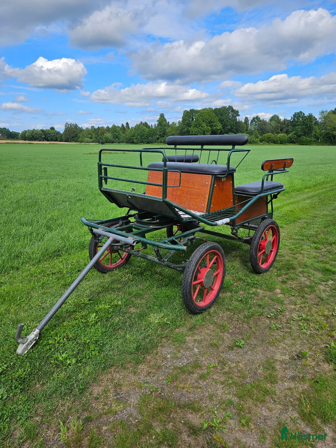 Körvagnar körning till salu: Recreatiosvagn  - Annons 2