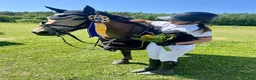 Hoppning hästar till salu: C-ponny med extra allt 🤩 - Annons 4