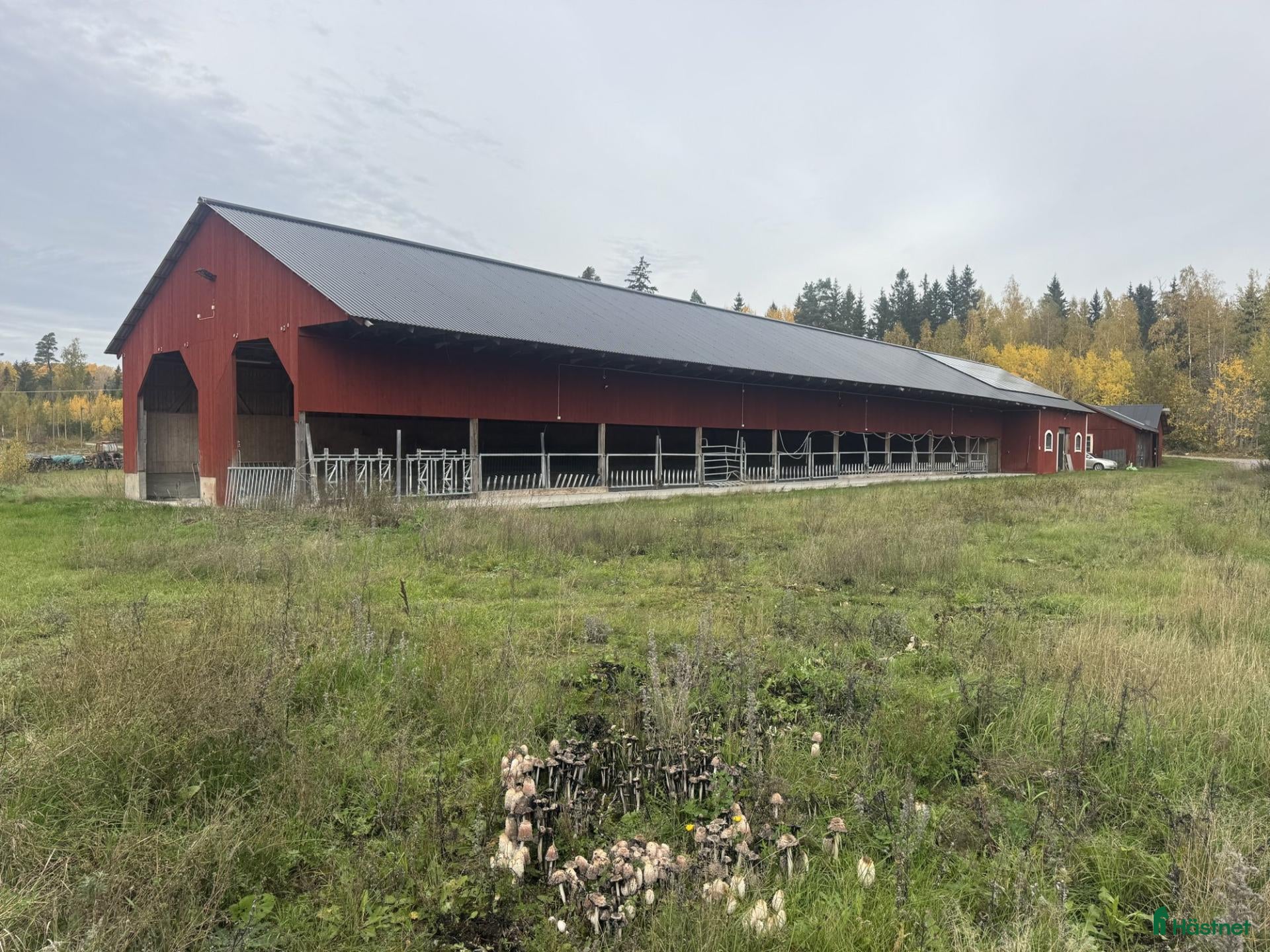  stallplats Lösdriftsstall med bete och verkstad uthyres - Annons 4