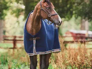 Täcken hästutrustning Fina Hyltarp saker - Annons 11