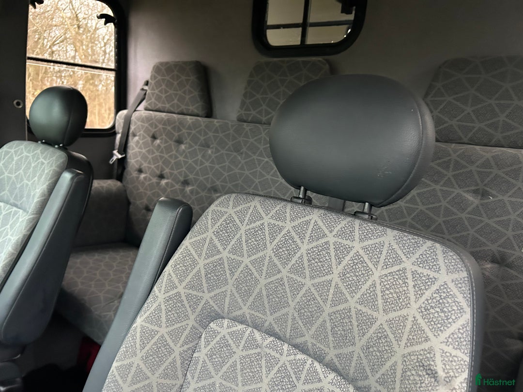 Hästlastbilar  fordon & transport till salu: Paragan 5 sits rejäl och robust  i Teckomatorp - Annons 14