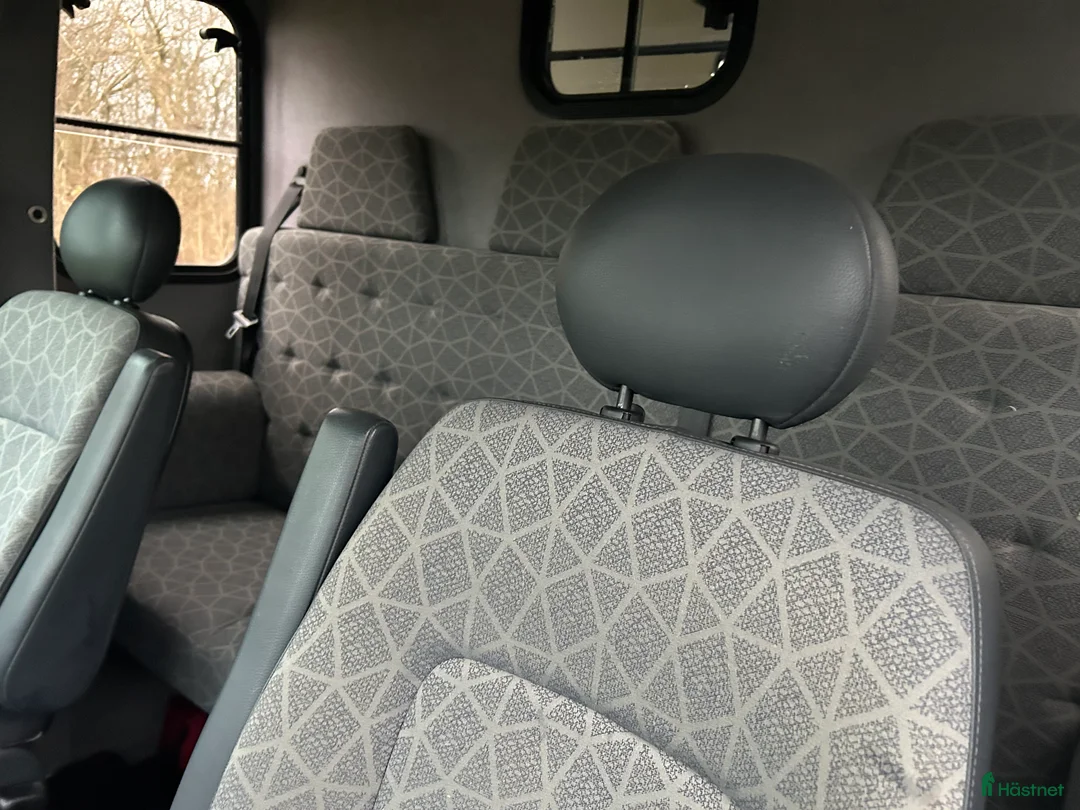 Hästlastbilar  fordon & transport till salu: Paragan 5 sits rejäl och robust  i Teckomatorp - Annons 14