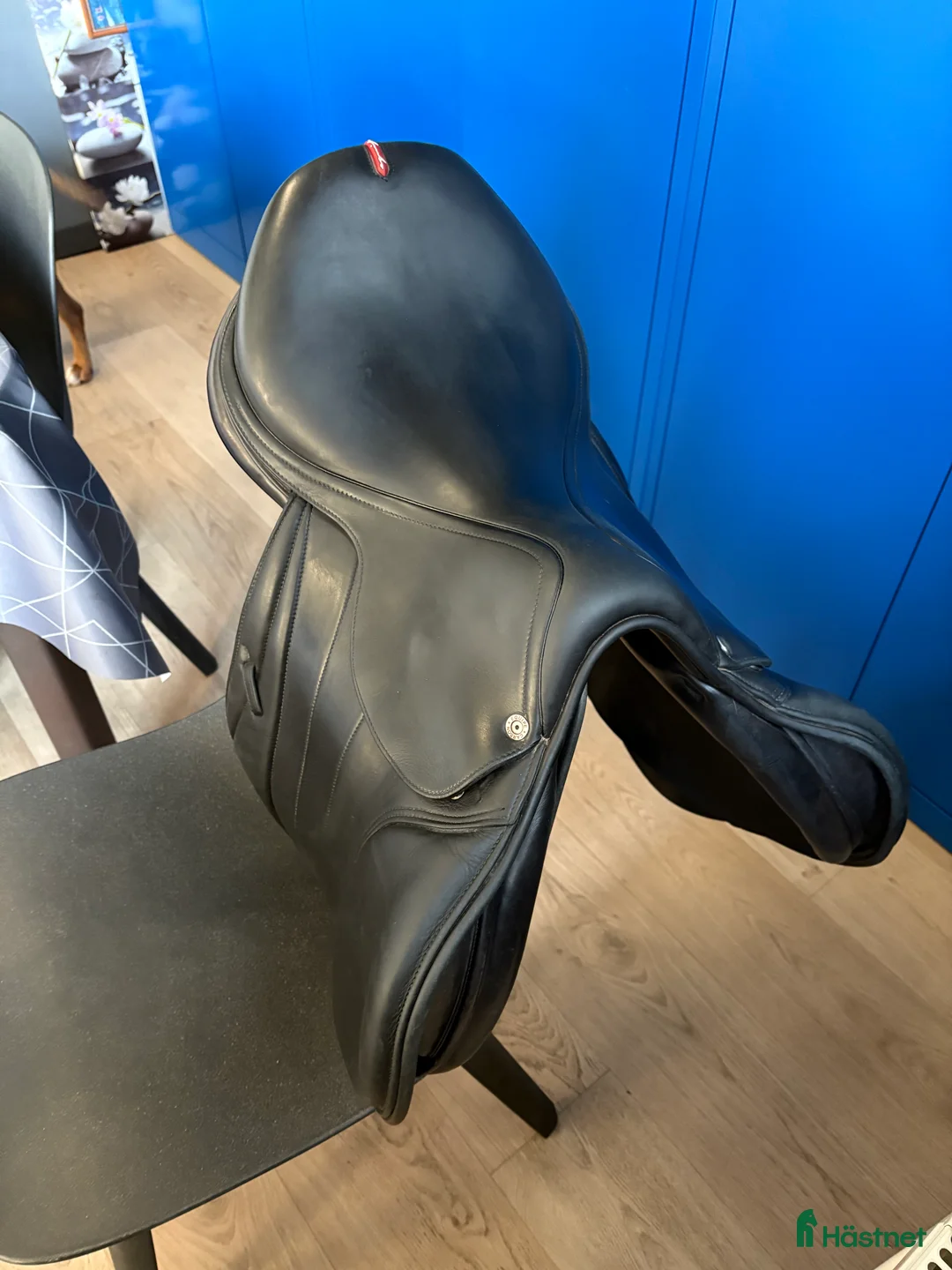 Sadlar hästutrustning till salu: Equipe Ek26 i Vallentuna - Annons 3