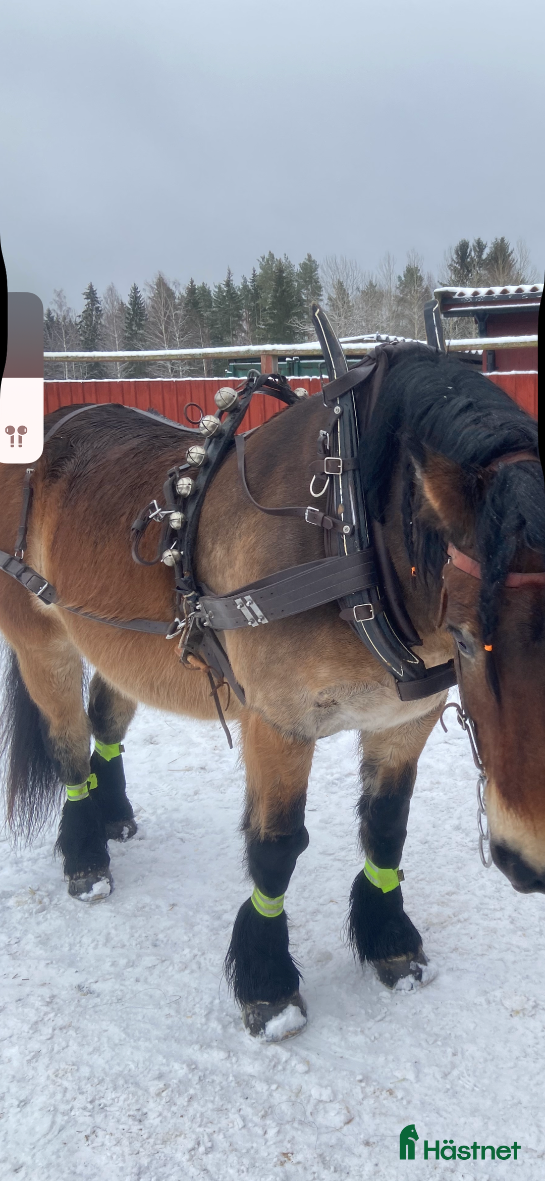 Körselar körning till salu: Arbetssele äldre modell i Valbo - Annons 16