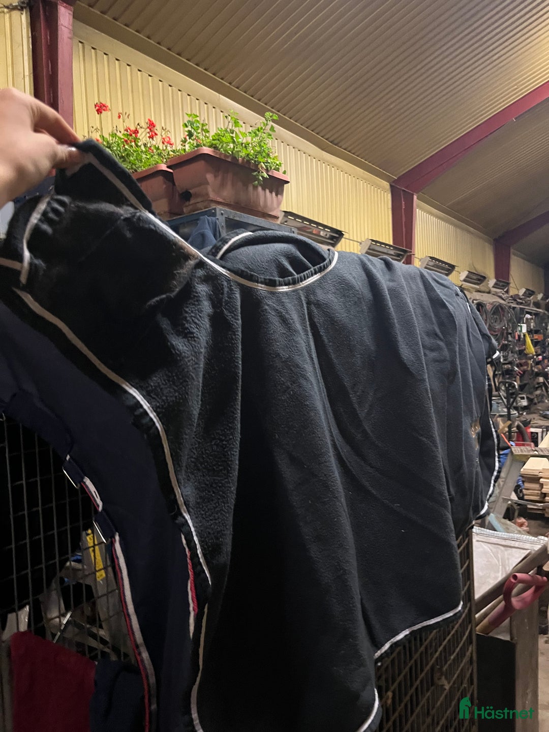 Täcken hästutrustning till salu: Skritt täcke  i Norrköping - Annons 2