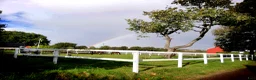  stallplats finnes: Stallplats för ponny finnes - Annons 7