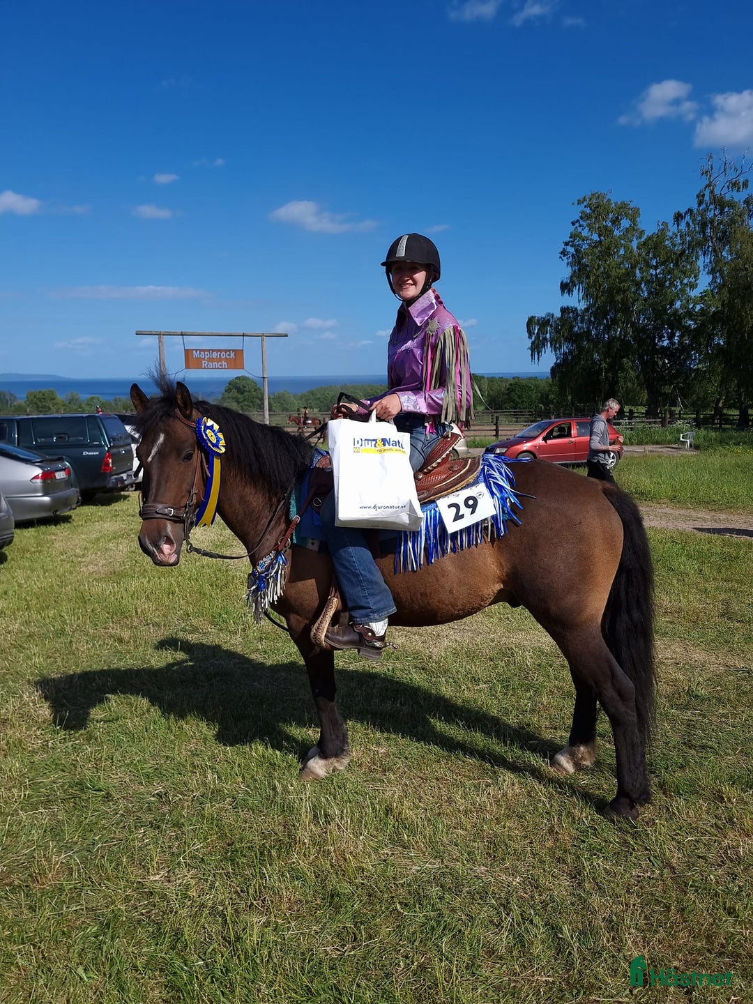  hästjobb finnes: Inridning, tillridning, grundhantering,lastträning i Vinninga - Annons 1