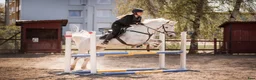Allround hästar till salu: Maxad D-ponny e: I Love You Melody i Norrköping - Annons 1