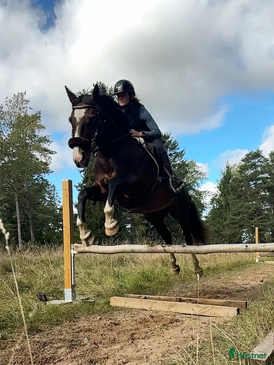  stallplats finnes: Helinackordering Almunge i Almunge - Annons 7