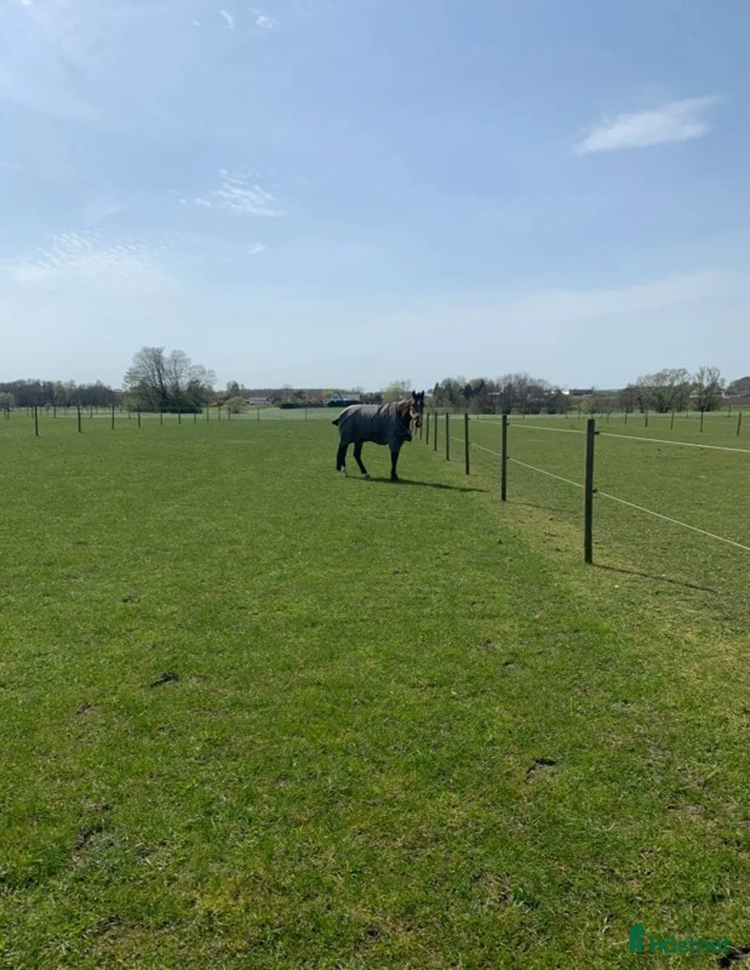  stallplats finnes: Lediga boxplatser strax utanför Ystad.  - Annons 7