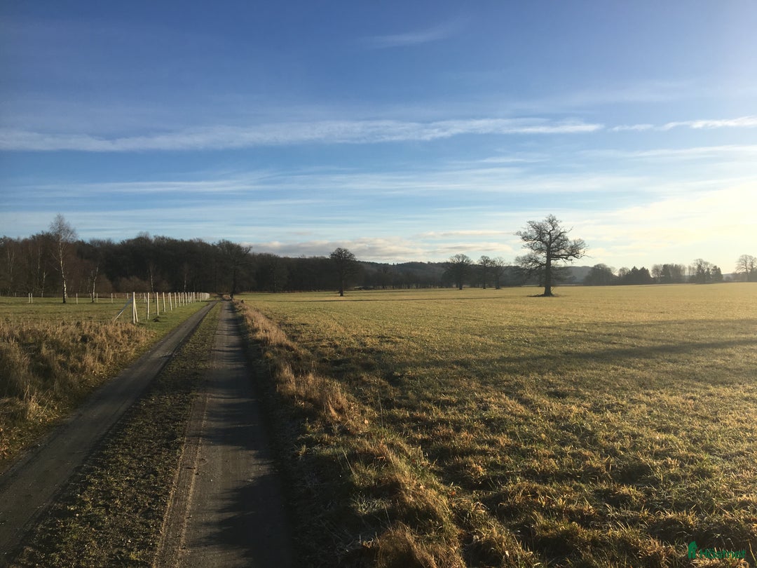  stallplats finnes: Lediga boxplatser i Sjöbo (Tågra) i Sjöbo - Annons 6