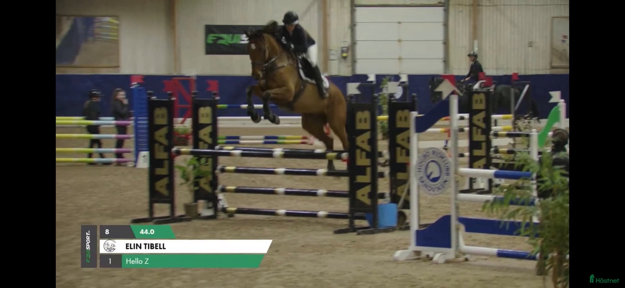  hästar Fin hopphäst med stor kapacitet – 9-årig valack - Annons 16